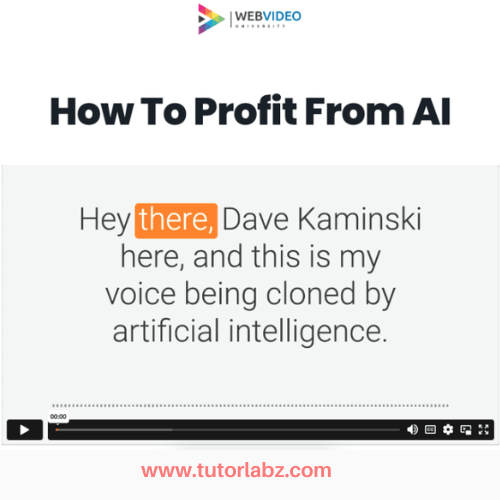 Dave Kaminski - How To Profit From AI