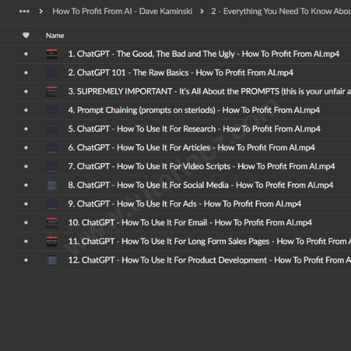 How To Profit From AI - Dave Kaminski 1