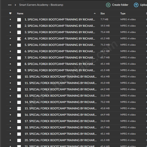 Smart Earners Academy Course