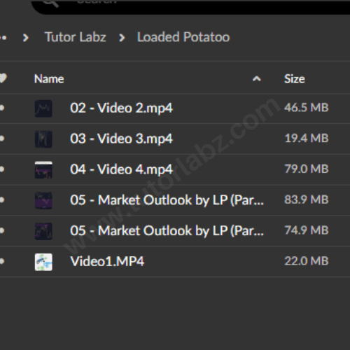 Loaded potatooo Mentorship