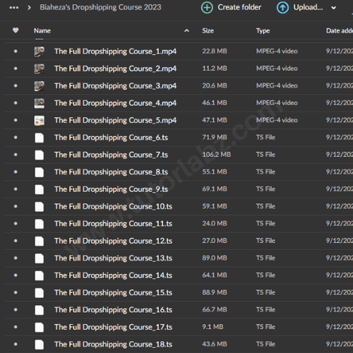 Biaheza's Dropshipping Course