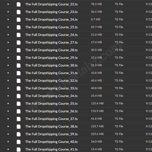 Biaheza's Dropshipping