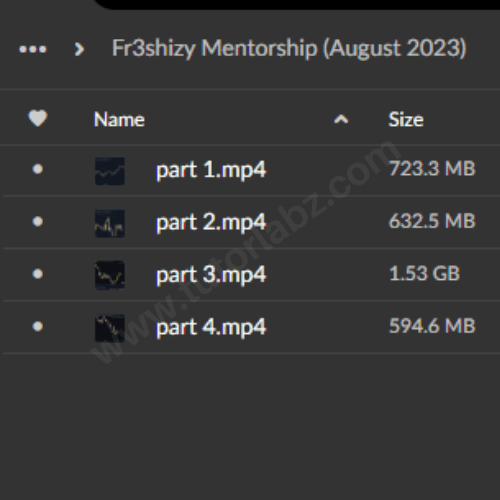 Fr3shizy Mentorship